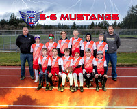 5-6 Mustangs